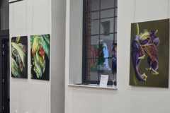 IMG-20260908-WA0013