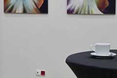 IMG-20260908-WA0025