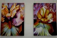 IMG-20260909-WA0001