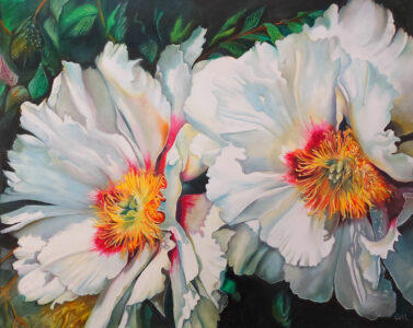 Z cyklu kwiaty - Białe Piwonie - 110x90 - 2018