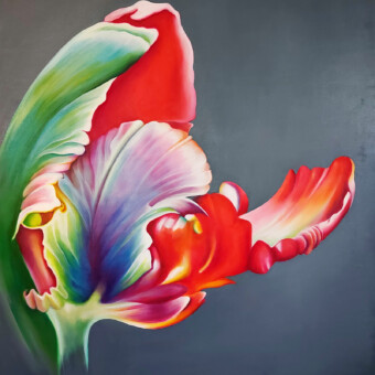Parrot Tulpel V - 110x100 - 2023