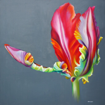 Parrot Tulpel - 100x100 - 2022